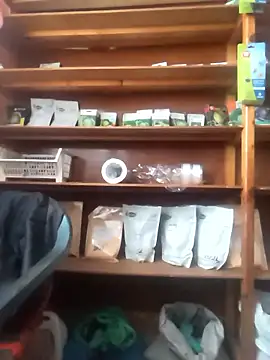 szabi1995 online show from 01/10/26, 08:09