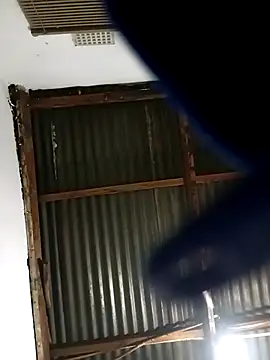 MyGuy352 online show from 12/01/25, 05:36