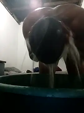 MyGuy352 online show from 12/04/25, 07:13