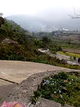 siusiu-00 online show from 03/03/26, 04:41