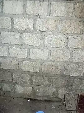 siusiu-00 online show from 11/21/25, 07:57