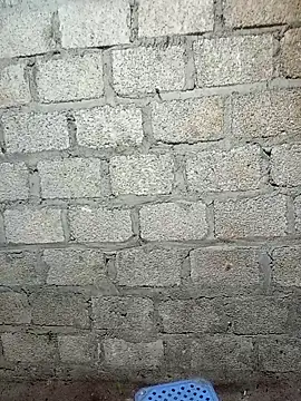 siusiu-00 online show from 02/17/26, 07:55