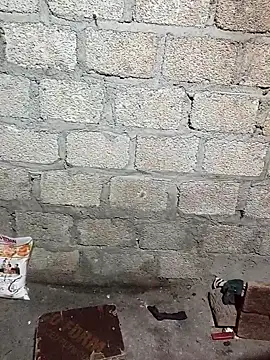 siusiu-00 online show from 11/13/25, 10:52