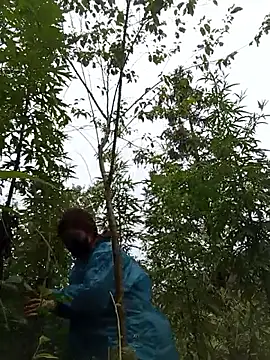 siusiu-00 online show from 06/10/26, 08:26