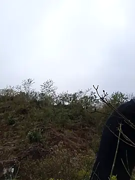 siusiu-00 online show from 01/09/26, 02:51