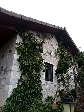 siusiu-00 online show from 04/01/26, 08:26