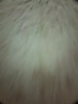 torresflow99nais online show from 11/25/25, 11:32