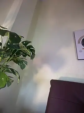 NovaFoxx online show from 02/15/26, 01:54