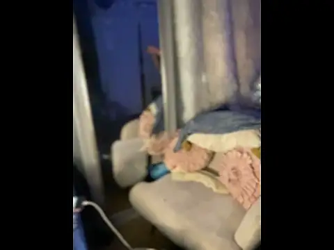 queenkelly1234 online show from 04/10/26, 09:44