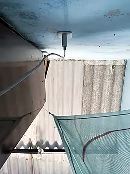 Snapshot of RennySem chatting on 11/01/25, 05:40 RennySem online show from 11/01/25, 05:40