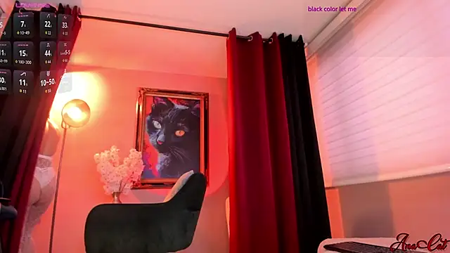 ana cat online show from 06/10/26, 04:52