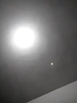 checheludo23 online show from 02/25/26, 12:22