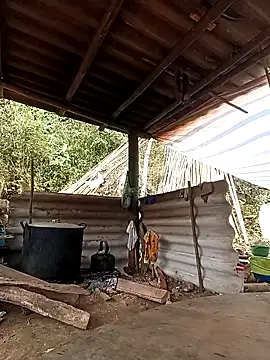 -Kem-01 online show from 02/26/26, 05:18