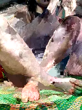 Snapshot of -Kem-01 chatting on 12/05/25, 01:10 -Kem-01 online show from 12/05/25, 01:10