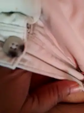 svk 05 online show from 12/18/25, 09:25