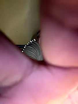 payal mittal online show from 11/27/25, 09:26