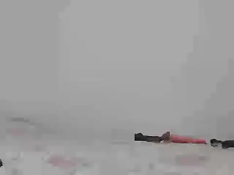 toxic sweet 1 online show from 11/07/25, 11:15