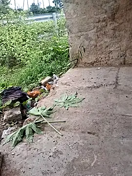 DesiVideo00 online show from 11/28/25, 08:25