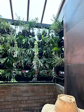 Rashel Frost  online show from 11/23/25, 06:51