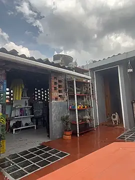 Leonardmoppet online show from 10/23/25, 05:55