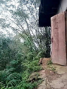 Myzak- online show from 03/26/26, 11:19