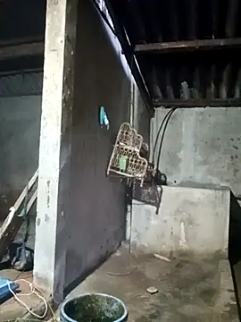 Myzak- online show from 03/22/26, 11:23