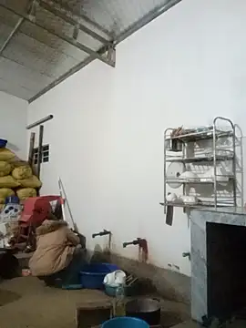 Snapshot of Myzak- chatting on 11/26/25, 10:59 Myzak- online show from 11/26/25, 10:59