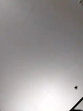 Wantmyassfilled online show from 12/20/25, 08:39