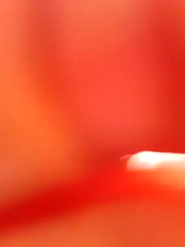 Snapshot of Rajni_chauhan chatting on 10/21/25, 08:58 Rajni chauhan online show from 10/21/25, 08:58