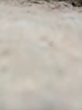 Snapshot of Rajni_chauhan chatting on 10/31/25, 11:55 Rajni chauhan online show from 10/31/25, 11:55