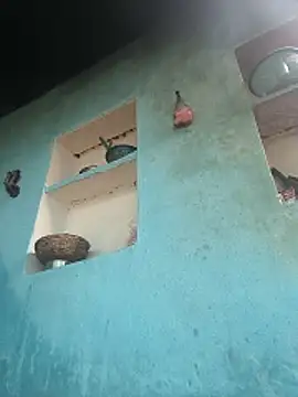 Ragni bhargav online show from 12/01/25, 04:57