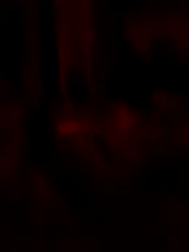 goloso80 online show from 05/22/26, 02:53