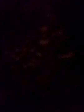 goloso80 online show from 11/04/25, 09:24