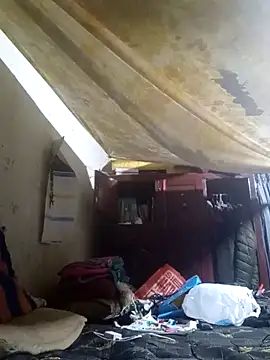 Cogelonregio online show from 04/02/26, 03:02