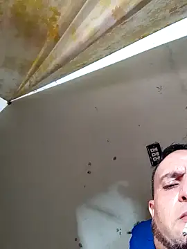 Cogelonregio online show from 10/22/25, 03:33