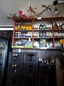 Snapshot of catalella16 chatting on 02/05/26, 04:47 catalella16 online show from 02/05/26, 04:47