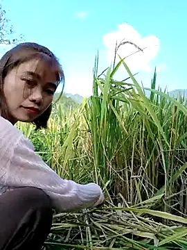 omai-ngot online show from 10/23/25, 01:48