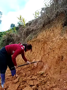 omai-ngot online show from 11/06/25, 01:20