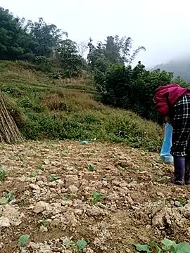 omai-ngot online show from 12/04/25, 02:21