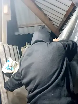 nui-show online show from 11/15/25, 01:37