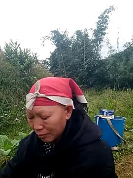 nui-show online show from 11/22/25, 06:01