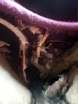 Soumyajit129ommk online show from 12/04/25, 02:43