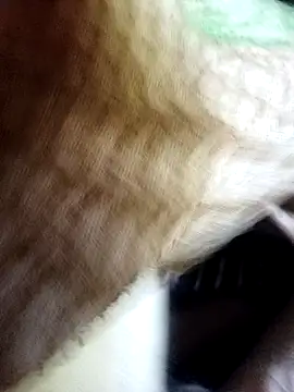 Soumyajit129ommk online show from 11/11/25, 03:01