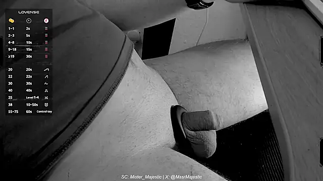 Mister Majestic online show from 12/01/25, 04:08