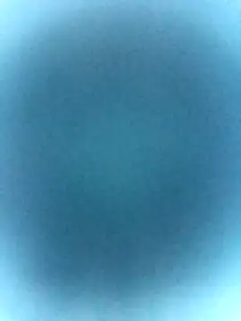 Snapshot of tabby-cat11 chatting on 02/19/26, 02:47 tabby-cat11 online show from 02/19/26, 02:47