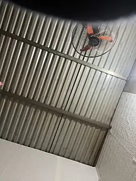 Snapshot of tabby-cat11 chatting on 02/03/26, 08:30 tabby-cat11 online show from 02/03/26, 08:30