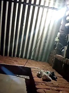 M-MAYA online show from 02/19/26, 04:48