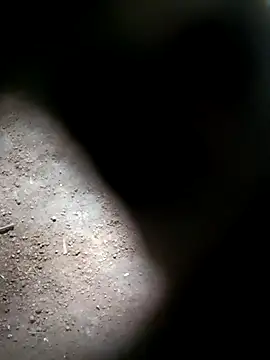 M-MAYA online show from 11/01/25, 06:41