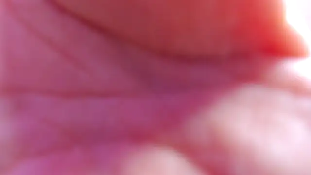 valentina clk online show from 10/20/25, 01:22