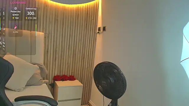 Snapshot of Aziz_daud chatting on 11/02/25, 12:10 Aziz daud online show from 11/02/25, 12:10